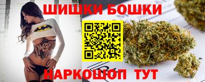 сатива Новозыбков