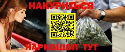 сатива Новозыбков
