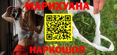 сатива Новозыбков